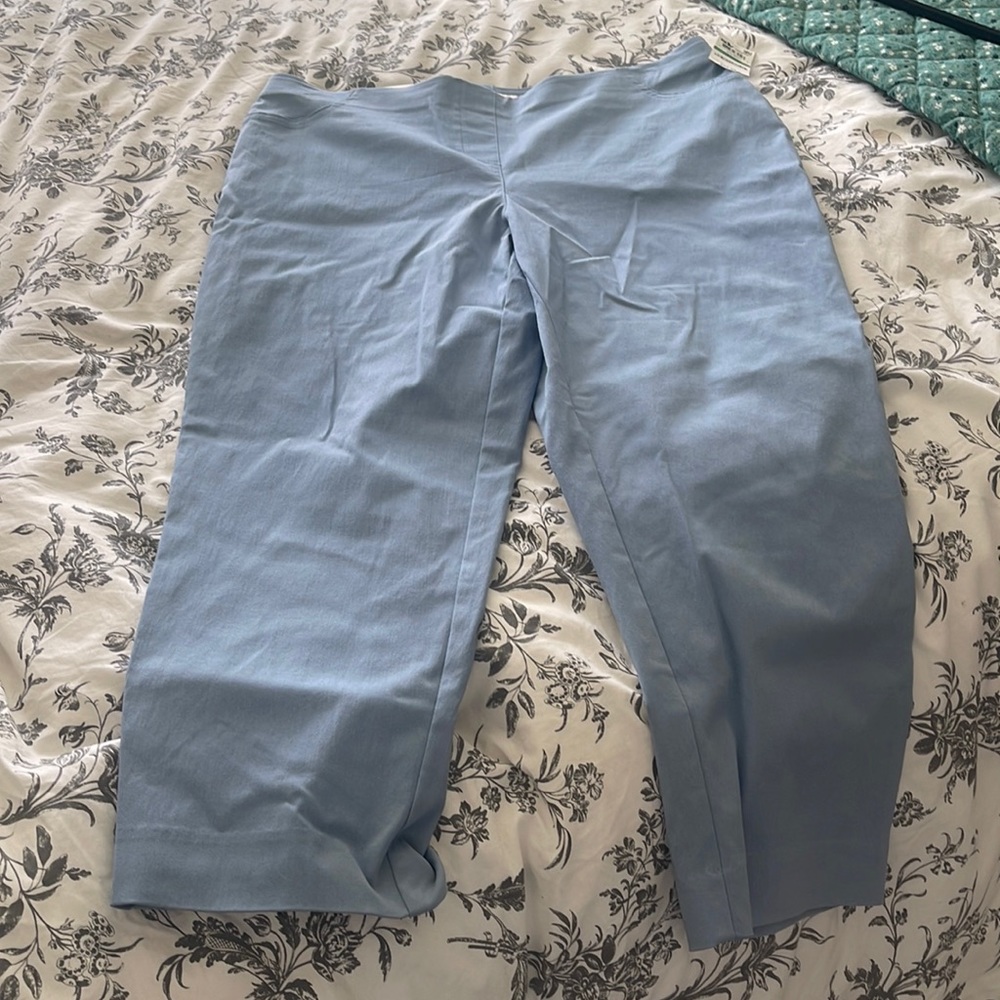 Style & Co Light Blue Capri Pants